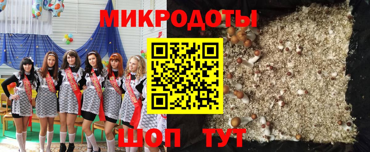 Энгельс  Псилоцибиновые грибы ЛСД  Вход с VPN  Псилоцибиновые грибы прущие грибы 
